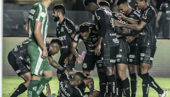 52420753055_7f305ac9eb_k