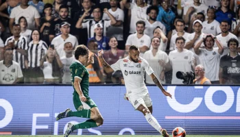 54282336676_8272c52e87_o