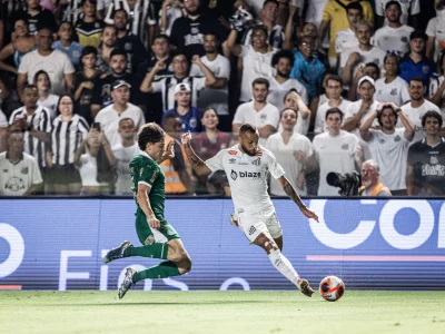 54282336676_8272c52e87_o