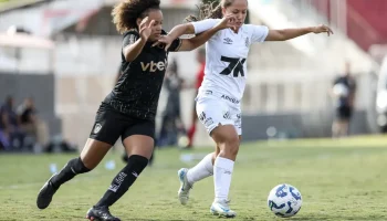 54543330493_56c6c8fb53_o