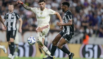 54698380110_cff7945e35_4k