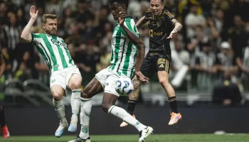 54824270100_cd32ebfed7_c