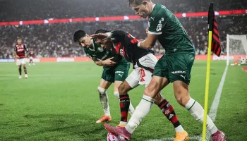 54866293610_75825e1278_c