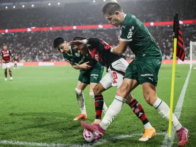 54866293610_75825e1278_c