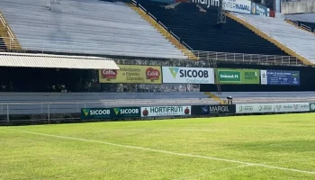 FOTO-ESTRELA