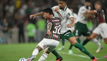 capa palmeiras