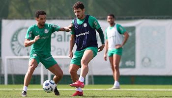 foto-01 do palmeiras
