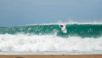 surf capa